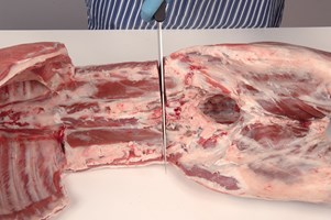 Meat Cut Spec Step 1